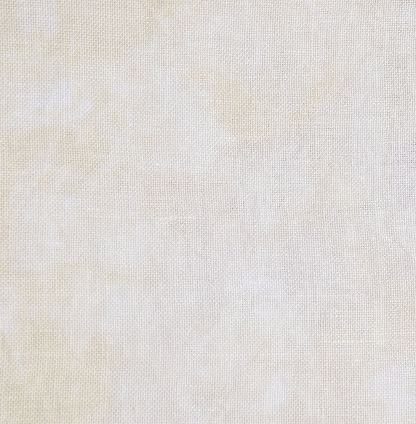 Ginger Ale (July 2025 Neutral FOTM)