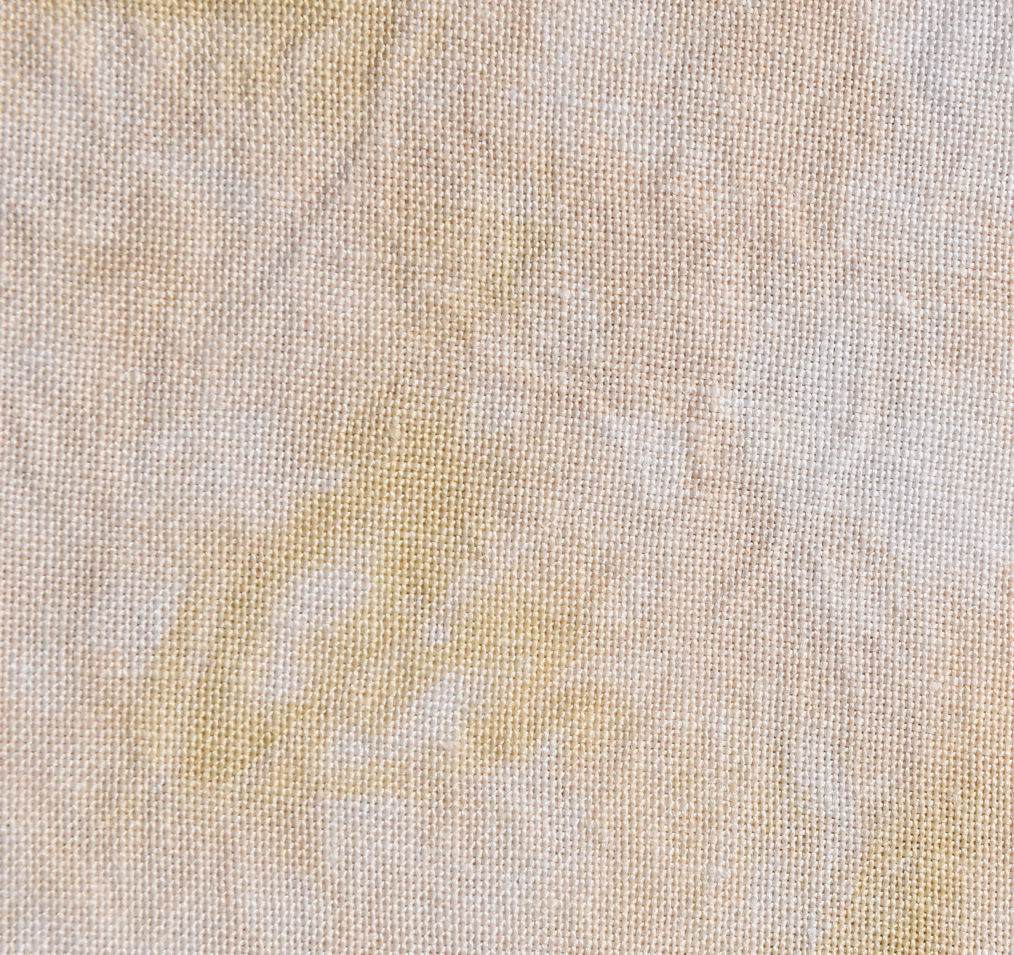 Palomino (May 2025 Neutral FOTM)