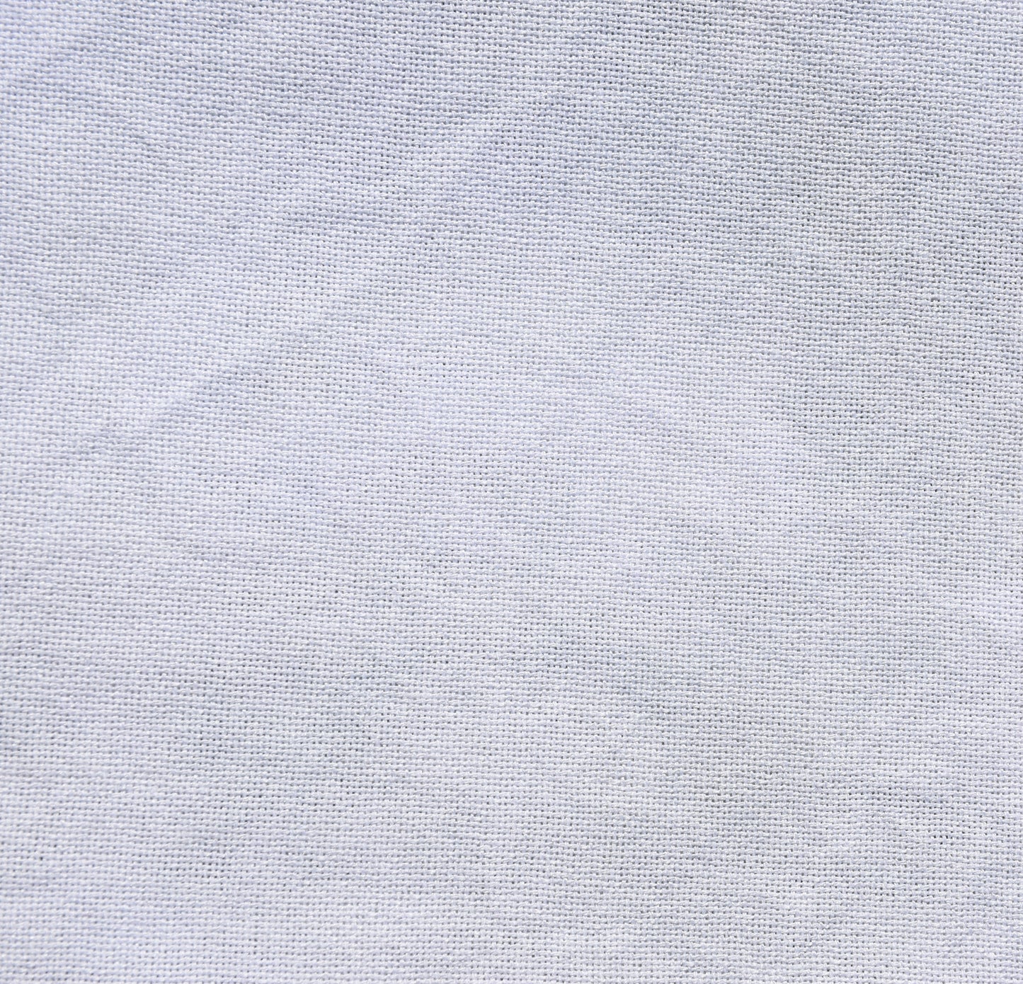 Balsam Fir (Dec. 2025 Neutral FOTM)