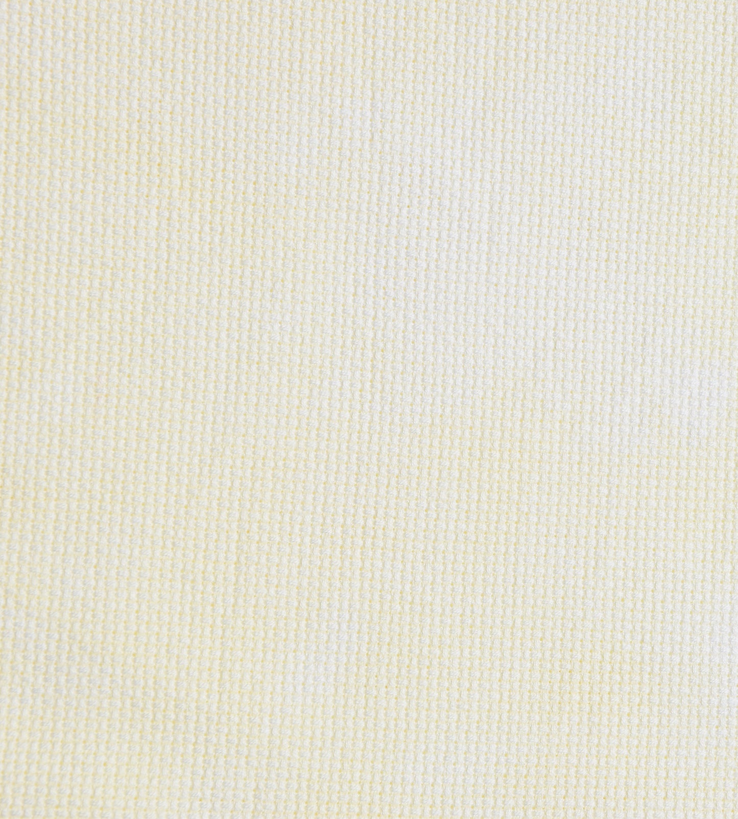Cornsilk (July 2025 Color FOTM)