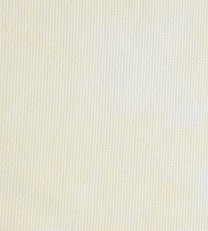 Cornsilk (July 2025 Color FOTM)