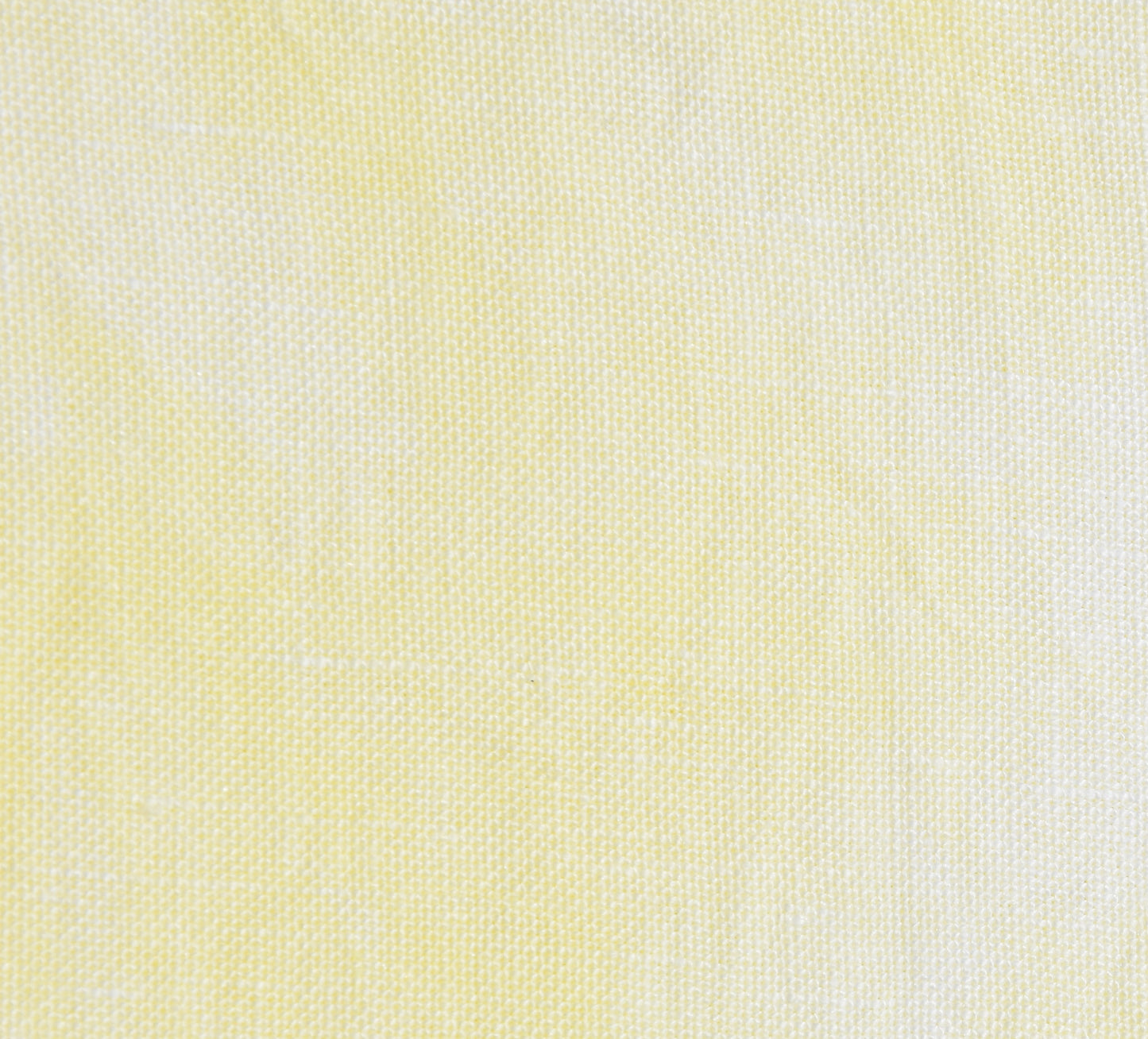 Cornsilk (July 2025 Color FOTM)
