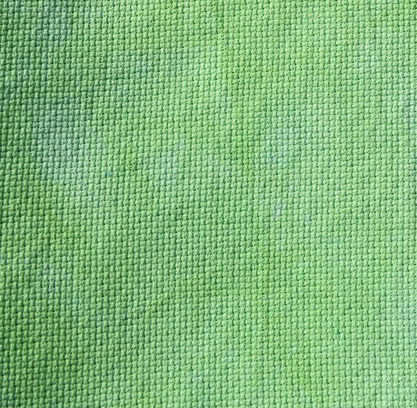 Elphaba