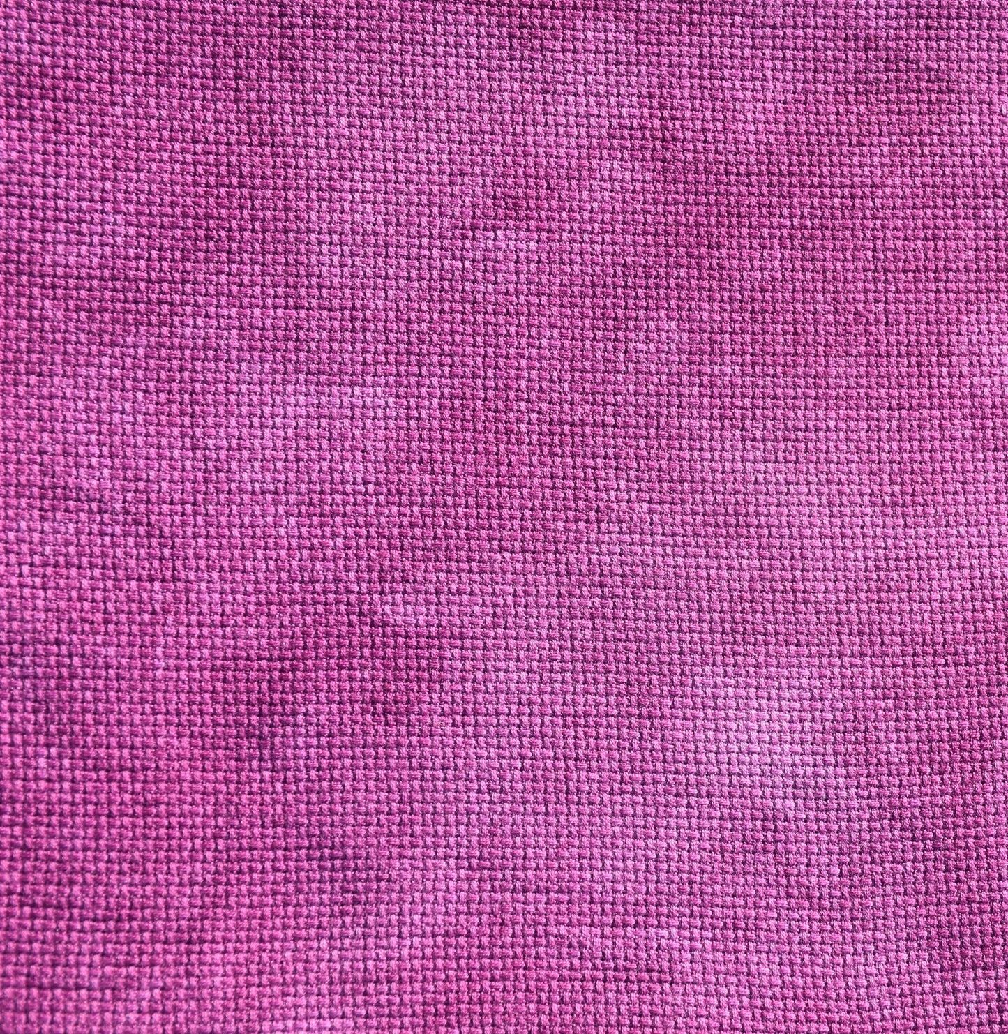 Lento (Feb 2022 Color FOTM)
