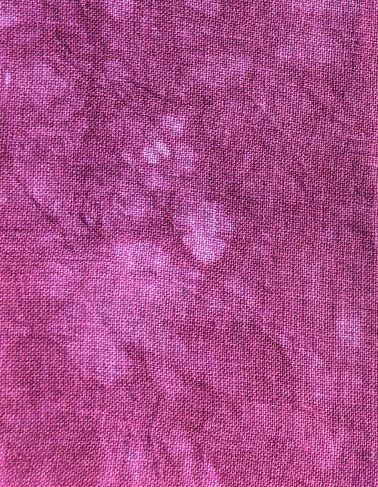 Lento (Feb 2022 Color FOTM)