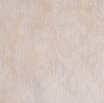 Palomino (May 2025 Neutral FOTM)
