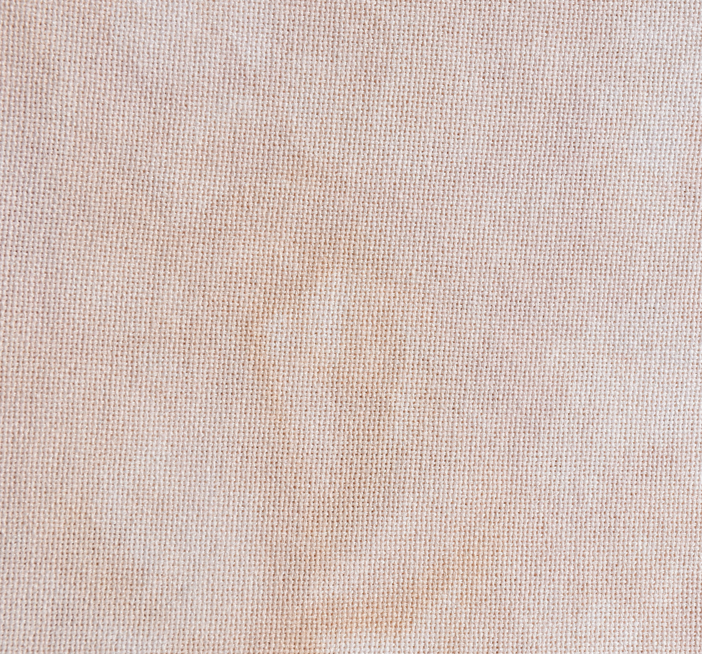 Palomino (May 2025 Neutral FOTM)