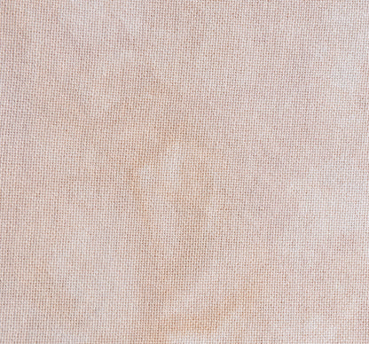 Palomino (May 2025 Neutral FOTM)