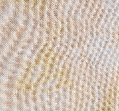 Palomino (May 2025 Neutral FOTM)