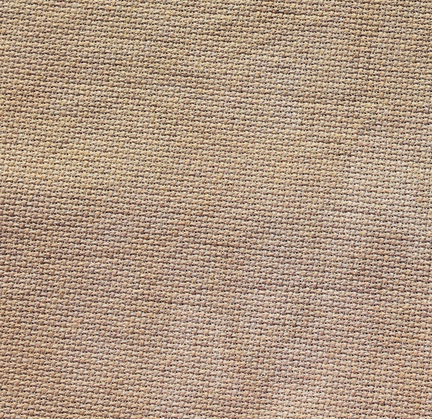 Peau de Kiwi