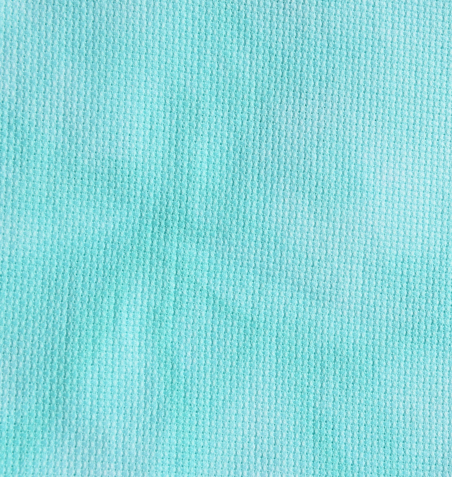 Robin's Egg (March 2024 Color FOTM)