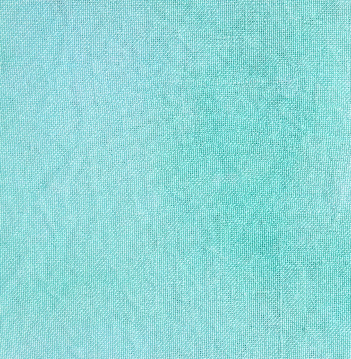 Robin's Egg (March 2024 Color FOTM)