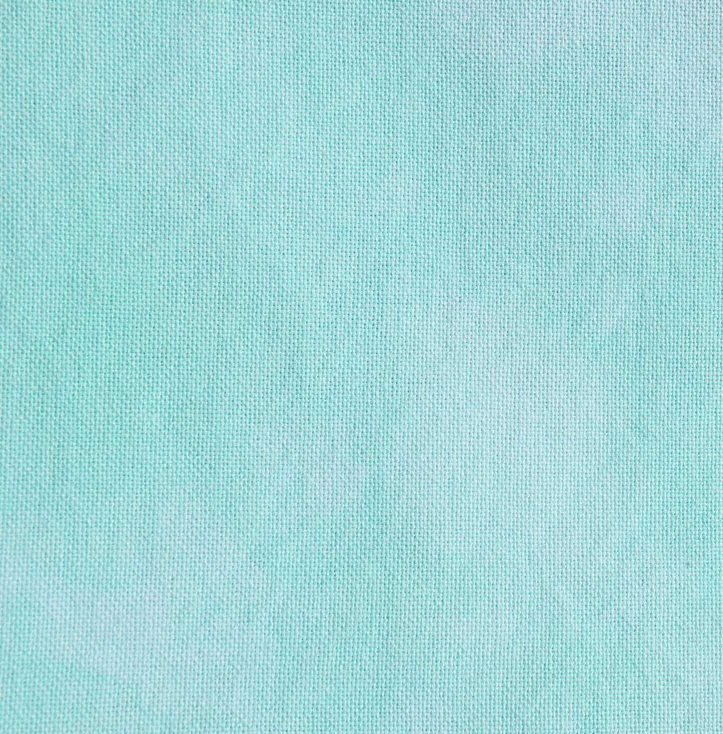 Robin's Egg (March 2024 Color FOTM)