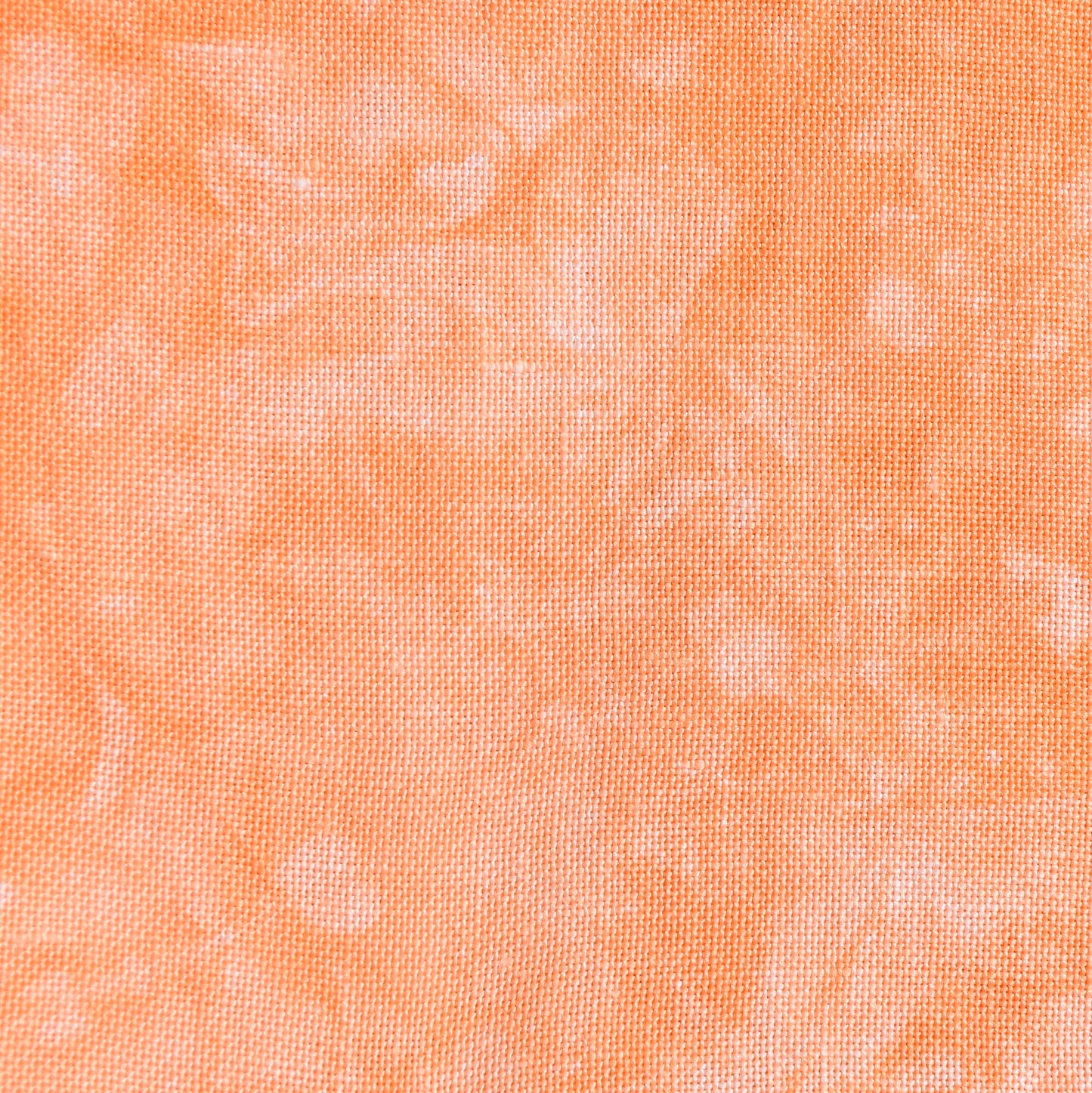 Tiger Lily (May 2025 Color FOTM)