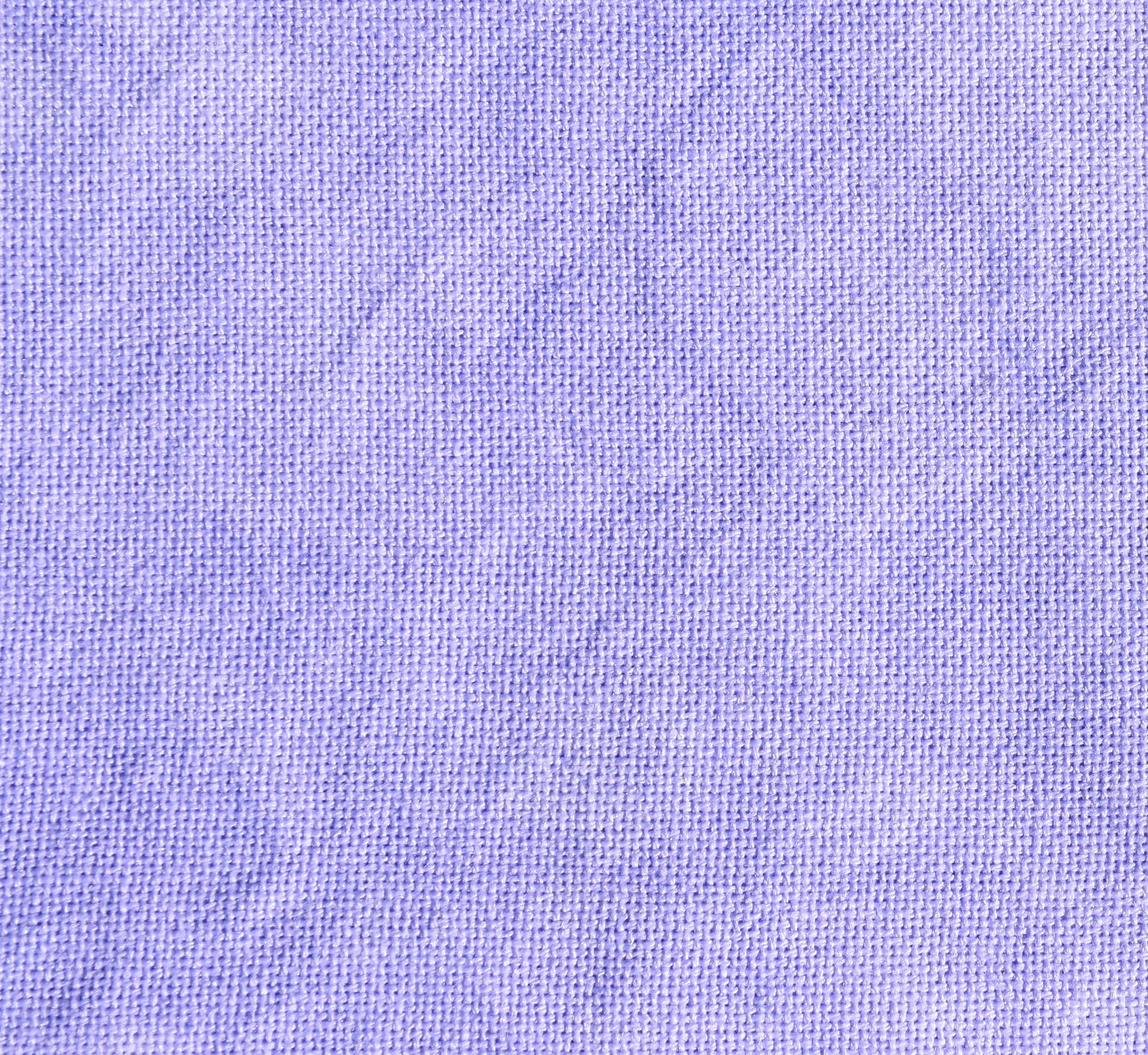 Winter Crocus (Jan 2025 Color FOTM)